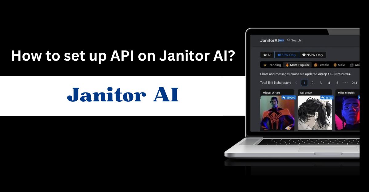 How to set up an API on Janitor AI?
