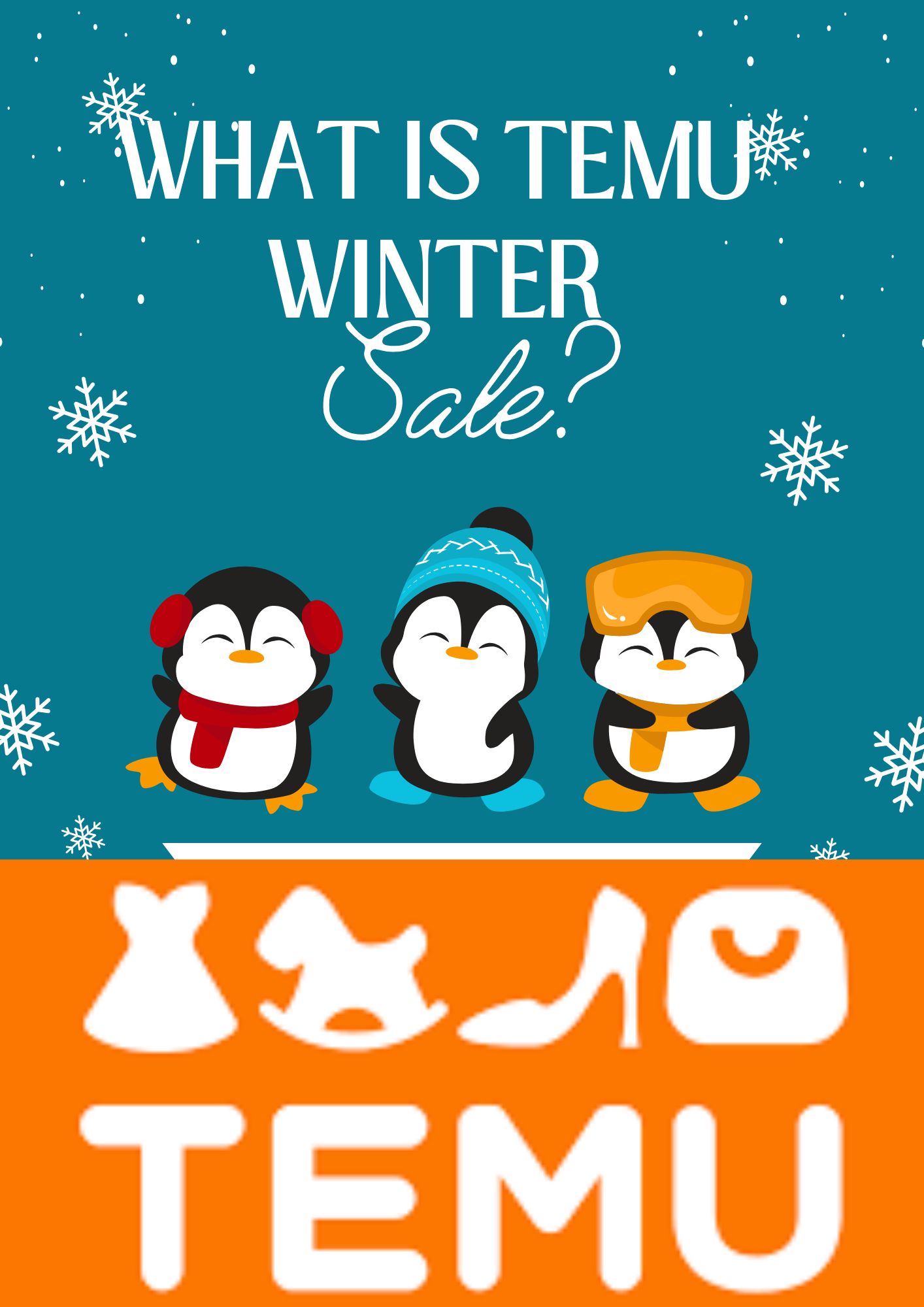 What Is the Temu Winter Sale?. An Ultimate Guide 