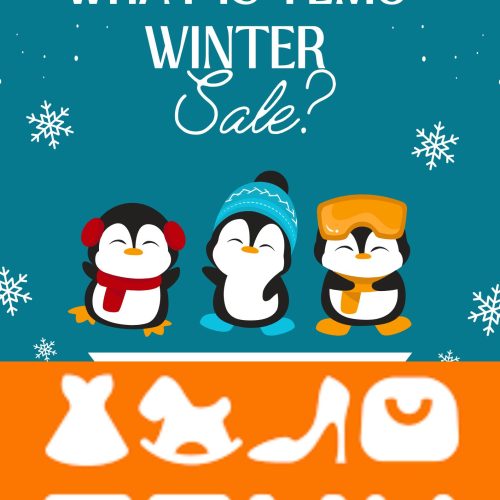 What Is the Temu Winter Sale?. An Ultimate Guide 