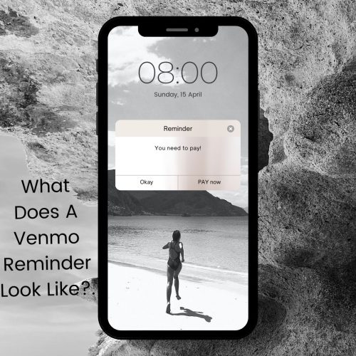 What Do Venmo Reminders Look Like?.