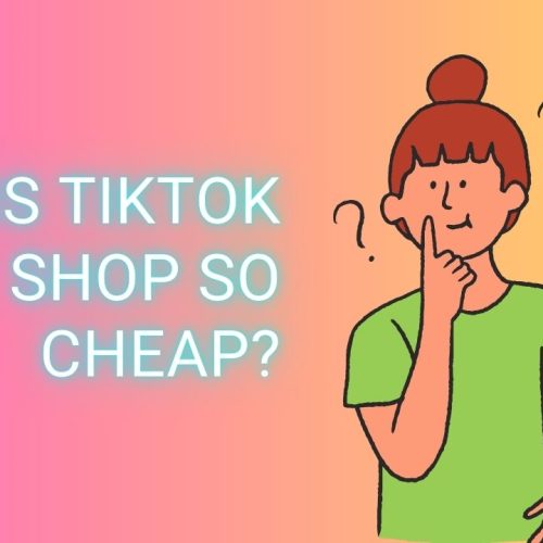 Why Is TikTok Shop So Cheap?. A Complete Guide